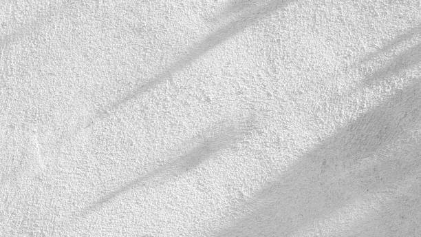 istock Black and White abstract background texture of shadows leaf on a concrete wall 1446646658