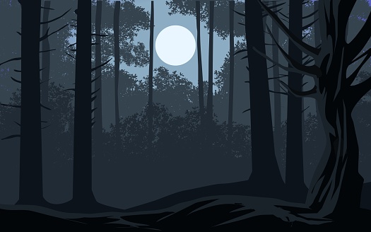 Dark moonlight night in forest. Vector nature landscape
