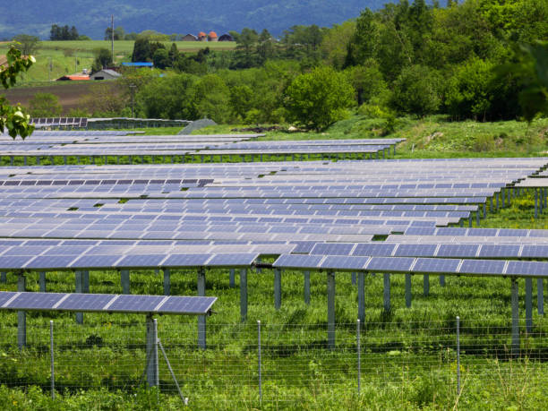 istock Rural grassland with solar panels 1446657255