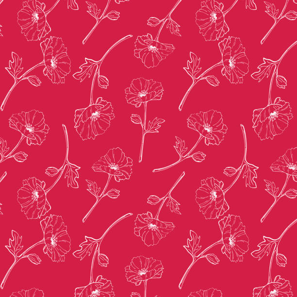 패턴 비바 마젠타 색상 2023년 흰색 양귀비 꽃 윤곽. - viva magenta stock illustrations