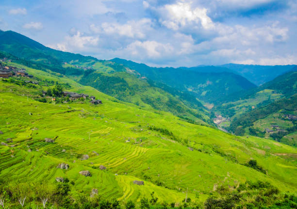 istock Terraced landscape in southern China 1446661669