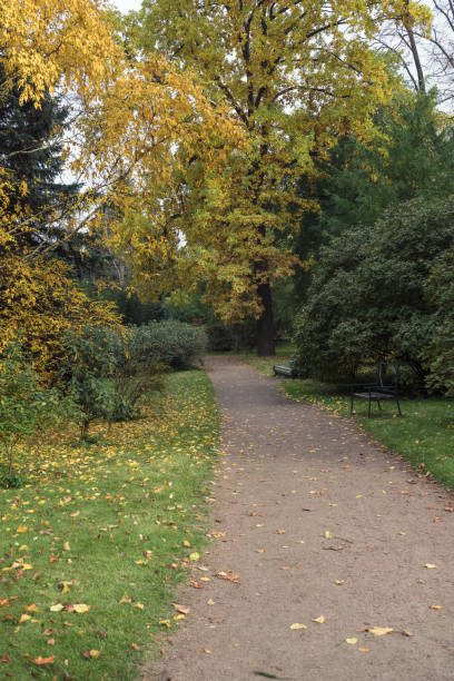 istock footpath inside public park at autumn day 1446663427