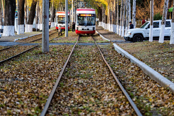 On October 23, 2022, Changchun, Jilin, near Nanyang Road, Changchun Chuncheng Street, there is a famous deciduous landscape avenue in Changchun. In late autumn, the street is paved with fallen leaves. When the tram passes, it drives the yellow leaves to dance, full of poetic charm.