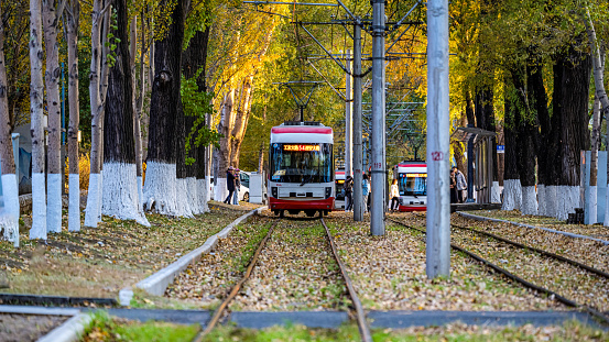 On October 23, 2022, Changchun, Jilin, near Nanyang Road, Changchun Chuncheng Street, there is a famous deciduous landscape avenue in Changchun. In late autumn, the street is paved with fallen leaves. When the tram passes, it drives the yellow leaves to dance, full of poetic charm.