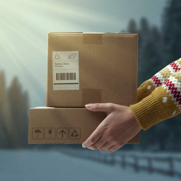 istock Woman holding delivery boxes for Santa Claus 1446670331
