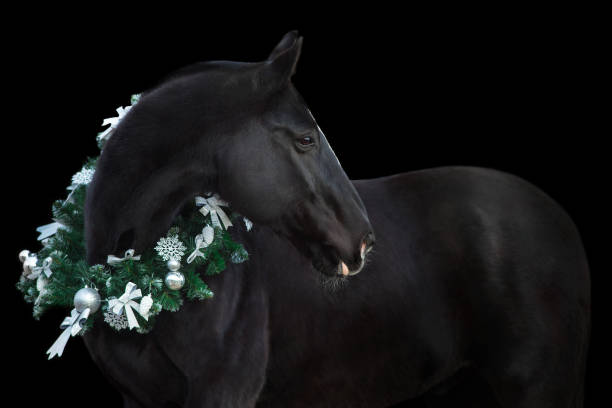 istock Horse in christmas decoration 1446671700