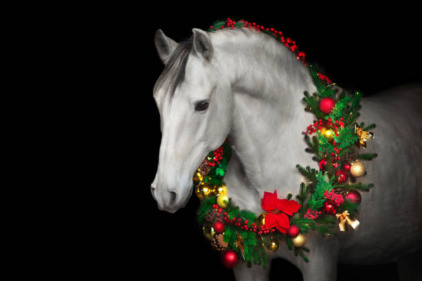 istock Horse in New year decor 1446671706