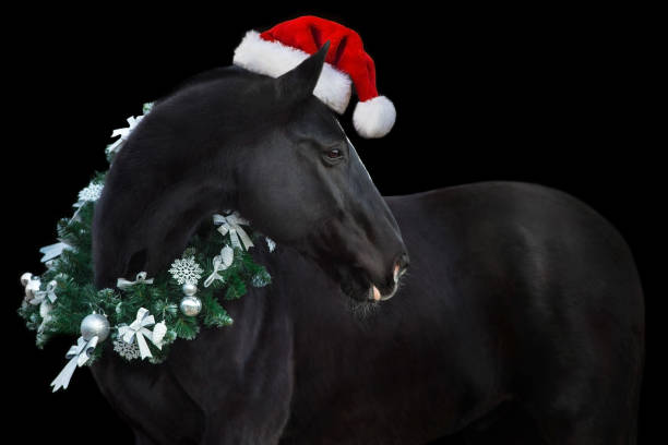 istock Horse in christmas decoration 1446671710
