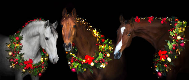 istock Horses in New year decor panorama 1446671712