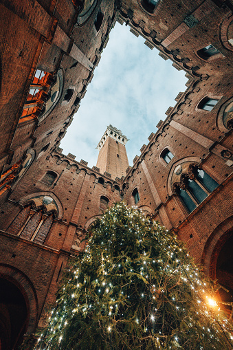 low angle view of torre del mangia in Siena