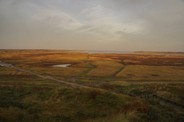 istock View over the Slufter, a nature reserve on Texel 1446677798