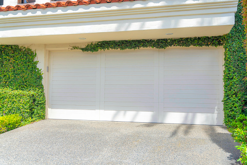 Garage exterior with wall covered with vines at La Jolla, San Diego, California. There is a white garage door with horizontal panels and concrete driveway.