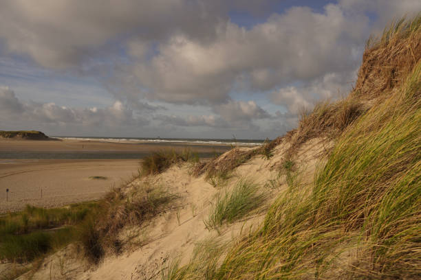 istock Dunes on the island of Texel 1446677931