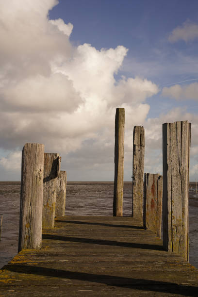 istock An old jetty with wooden mooring posts 1446677940