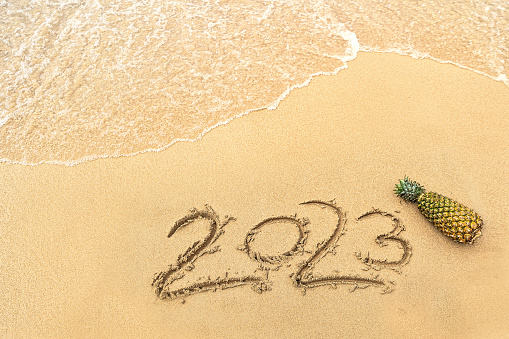 Happy new year 2023! 2023 written in the sand and one pineapple on the beach with sea water. A lot of copy space. Conceptual photo.