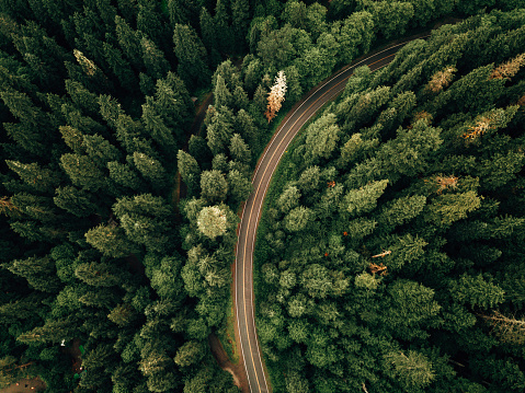 aerial view of a winding road in usa