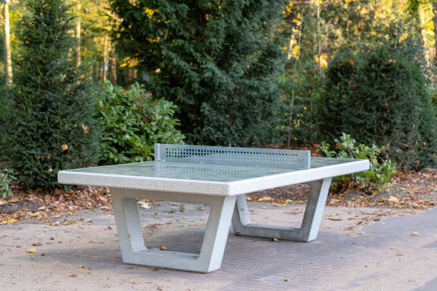 istock A ping-pong table in the park. Playgrounds and table tennis. 1446682021