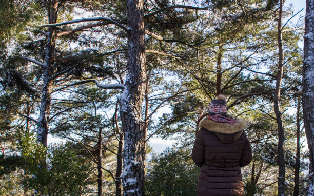 istock Woman Turning Back In Snowy Forest 1446682472
