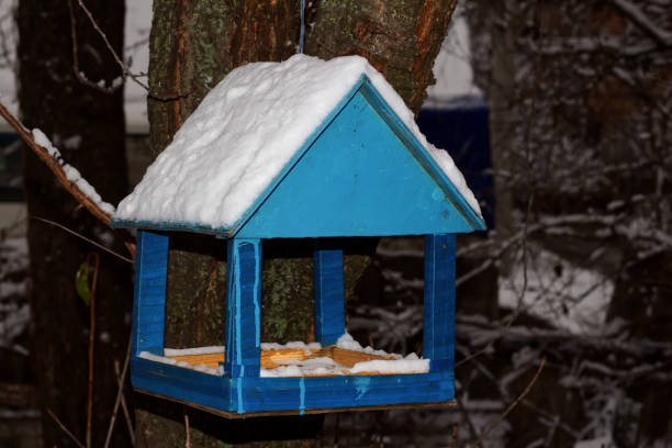 casa azul, comedero para pájaros en un árbol en el patio, kharkiv, ucrania - birdhouse house bird house rental fotografías e imágenes de stock