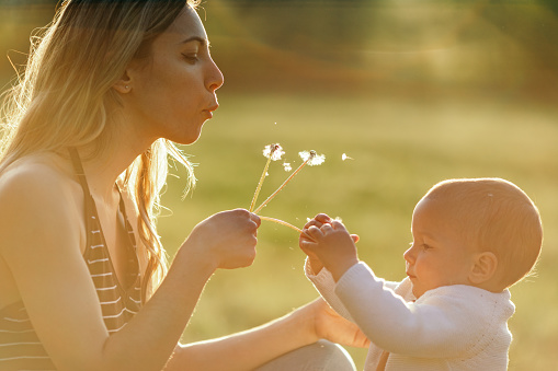 Young woman is playing with her baby girl in nature at sunset. They are beautiful and they are playing with dandelion flower