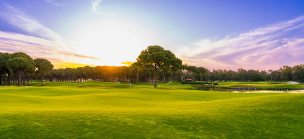 panorama del campo da golf al tramonto con bellissimo cielo. vista panoramica del fairway del golf. campo da golf con pini - golf landscape golf course tree foto e immagini stock
