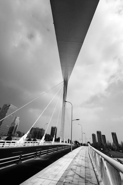 istock Black and white modern urban architecture 1446690993