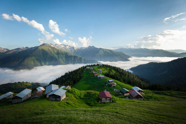 istock Pokut Plateau Rize Turkey 1446692235