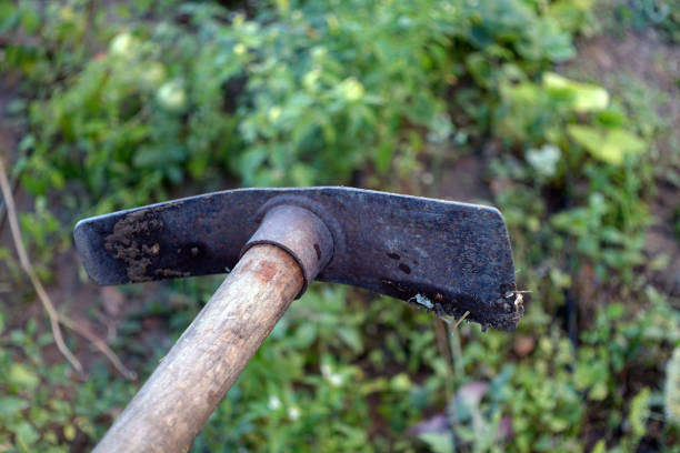 close-up garden hoe,garden tools,