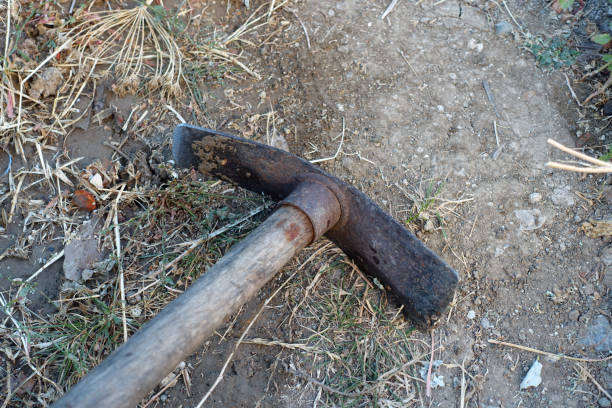 istock close-up garden hoe,garden tools, 1446696328