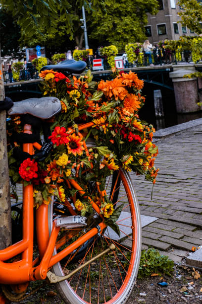 A view from the Amsterdam city,old bike.Holand.