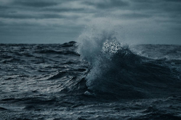 a forma do mar: ondas que travam - boat horn - fotografias e filmes do acervo