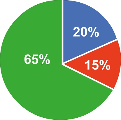 vector illustration of pie chart with numbers and percentage