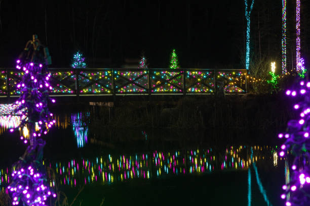 istock A brilliantly lit bridge is reflected in still lakewater 1446703009