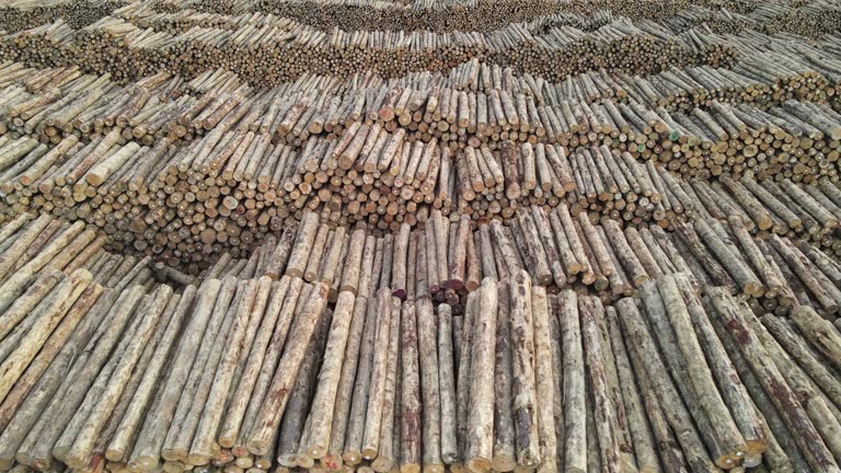 Aerial view of coastal timber yard