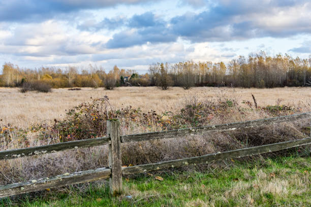 istock Kent Washington Autumn 8 1446705101