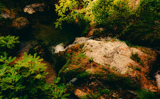 Intimate scene involving a boulder and its gently flowing stream of water.