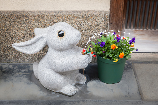 Rabbit statue with potted flowers for new year decorations at the front door of a house