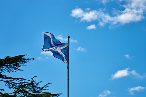 The national flag of Scotland, flying on a windy day in summer.