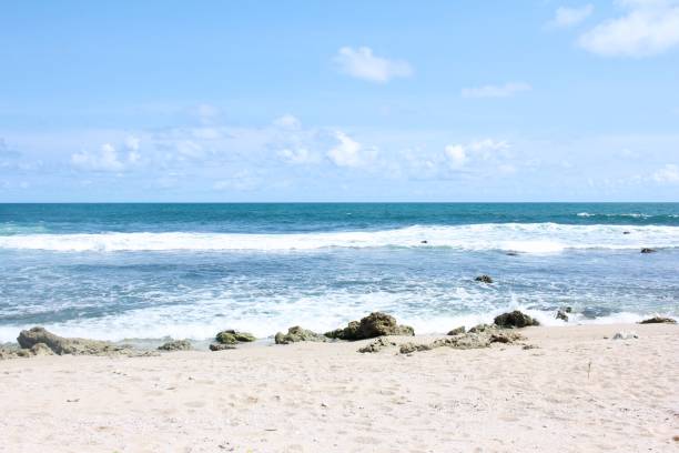istock White Sand Beach and Clear Blue Sea, Krakal Beach. 1446710031
