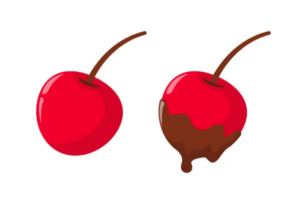 Vector illustration of chocolate dipped cherry fruit illustration design