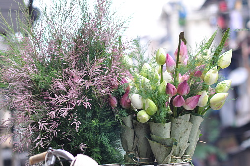 Ha Noi Old Quarter Flower Market