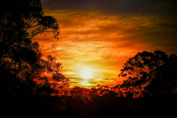 istock A beautiful Australian sunset or sunrise 1446714247