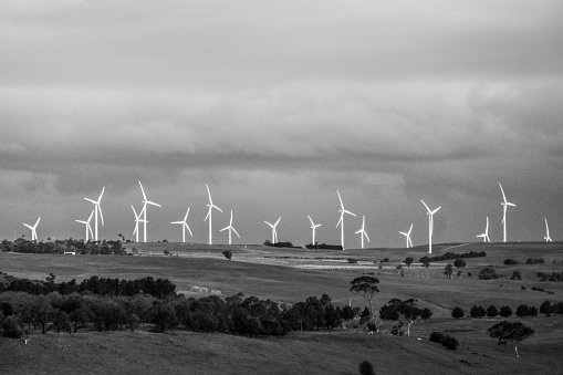 Wind turbines in the countryside of Australia, in black and white