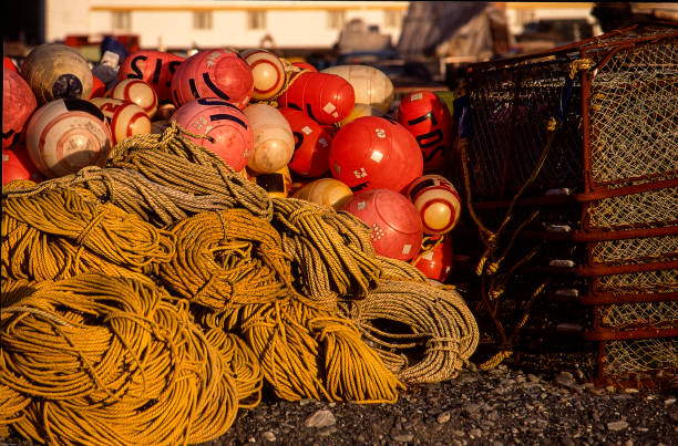 istock Buoys and Ropes at Harbour 1446716133