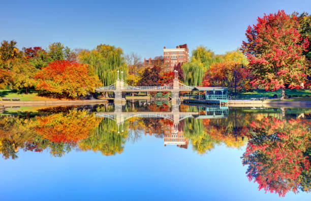 istock Autumn in the Boston Public Garden 1446716387