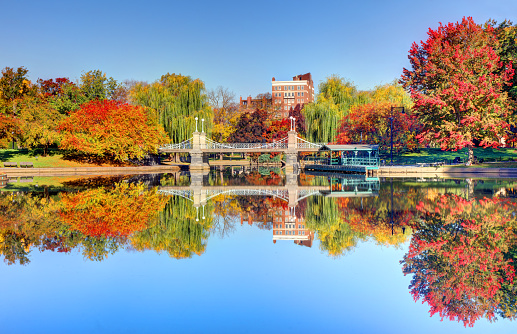 Boston Public Garden, is a large park in the heart of Boston, Massachusetts, adjacent to Boston Common.