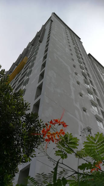 istock beautiful flower with a modern building with it 1446716780