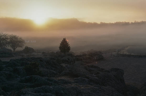istock Sunrise and Fog by the River 1446717151