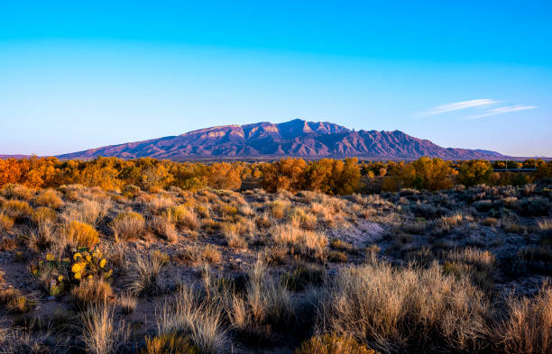 A view of the Sandia Mountains is seen from across the river. The cottonwood trees are in full autumn color and the mountain range has the pink/purple cast. It is know for the way the light changes the range to a watermelon color.