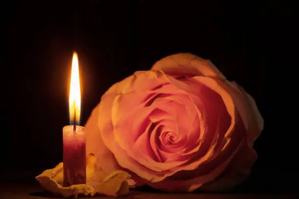 a candle flame and next to one rose in the dark close-up
